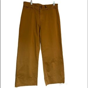 PISTOLA Wide Leg Pants. Size 31